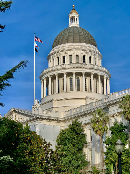 California State Capitol representing Sacramento County small claims court guide