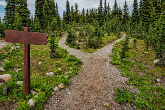 Forked dirt trail in a forest with a wooden signpost, illustrating the choice between small claims and civil court